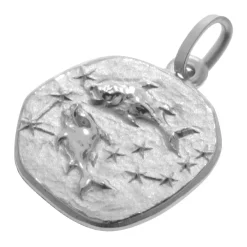 trendor Schmuck Sternzeichen Fische mit Halskette 925 Silber Ø 16 mm 08441-03