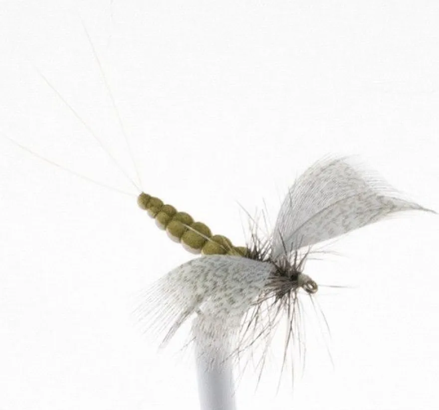Trockenfliege - Maifliege - Mayfly Dun ext. Body - mit Widerhaken