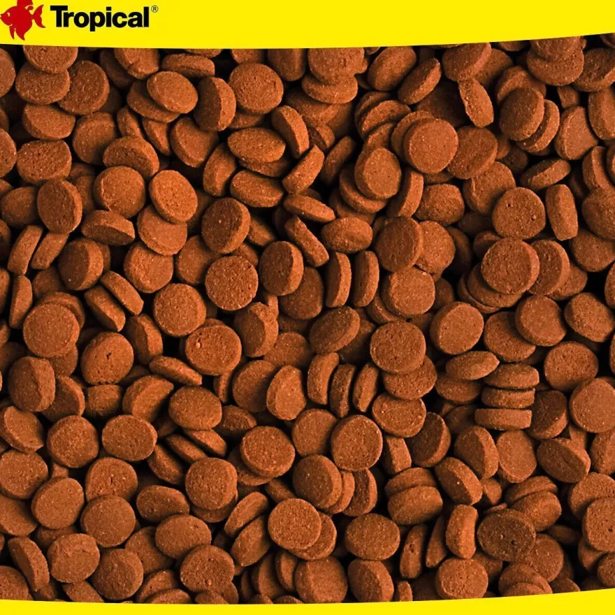 Tropical 1000 ml Carnivore für große, fleischfressende Fische