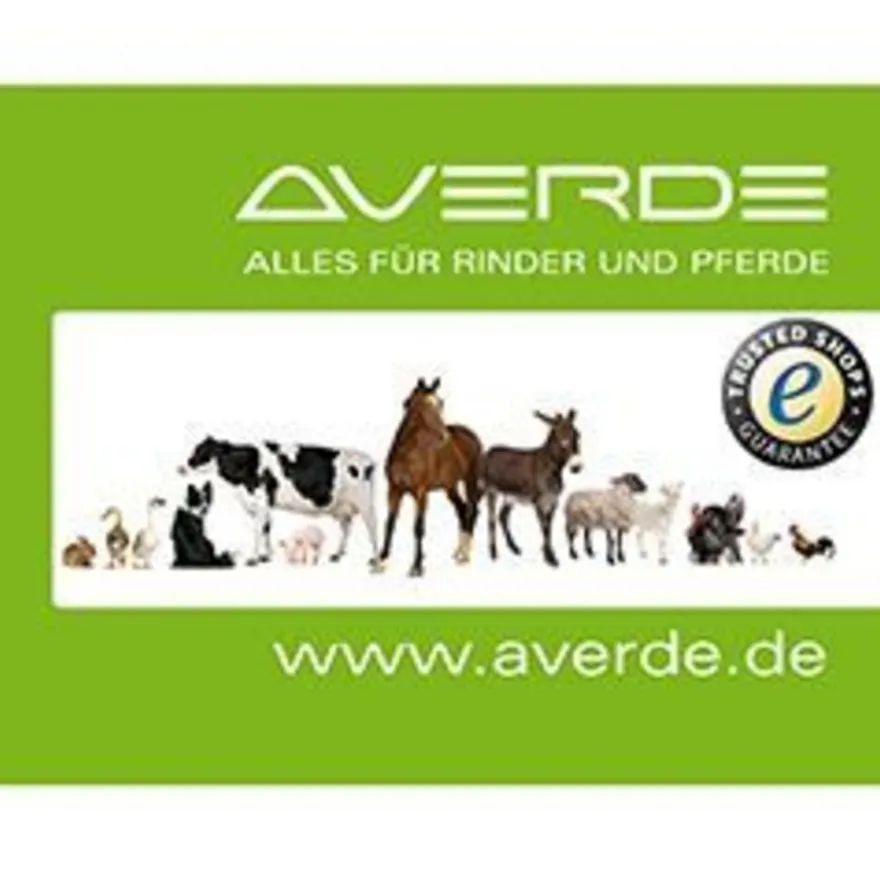 T-Schelle geteilt, A 1 1/2
