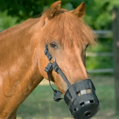 USG Weidemaulkorb - Fressbremse für Pferde, Extra groß