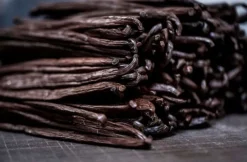 Vanille Madagaskar die Bourbon Vanilleschoten