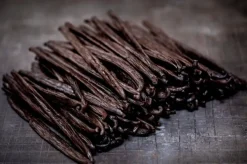 Vanille Madagaskar die Bourbon Vanilleschoten