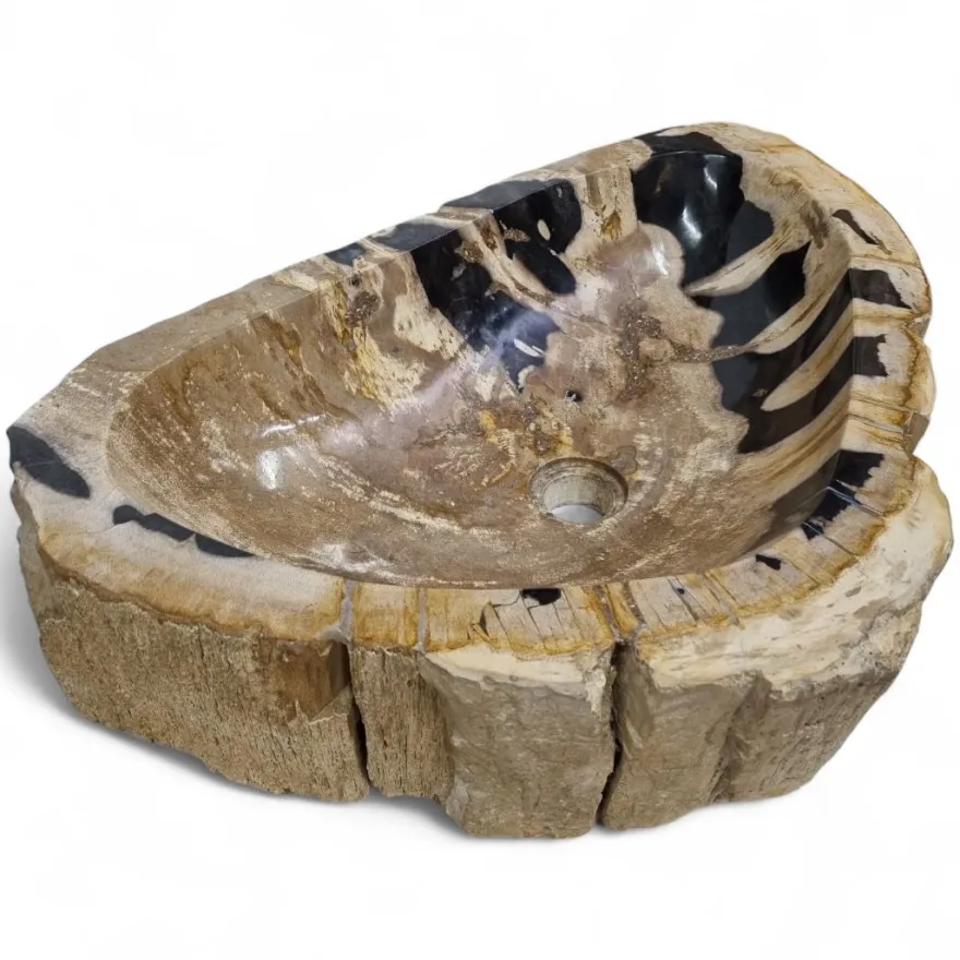 Versteinertes Holz Waschbecken XXL #49 Versteinertem Fossiles Naturstein