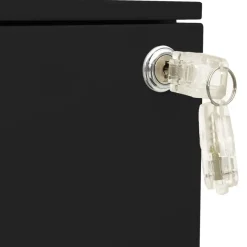 vidaXL Aktenschrank mit Rollen Schwarz 39x45x60 cm Stahl