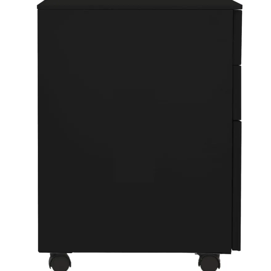 vidaXL Aktenschrank mit Rollen Schwarz 39x45x60 cm Stahl