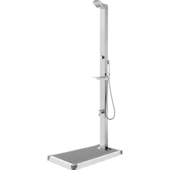 vidaXL Gartendusche mit Grauer Bodenplatte 225 cm Edelstahl