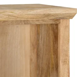 vidaXL Highboard mit Tür 45x32x110 cm Mango Massivholz