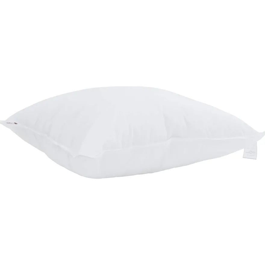 vidaXL Kopfkissen mit Kissen 2 pcs Weiß 60 x 60 cm Baumwolle