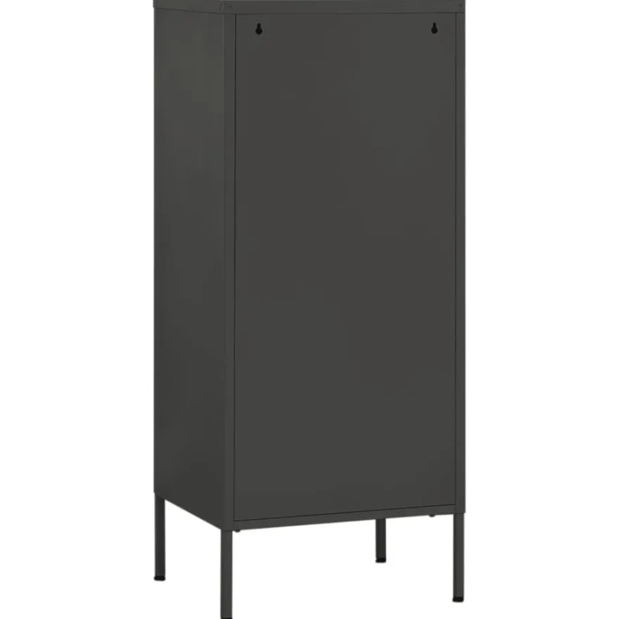 vidaXL Lagerschrank Anthrazit 42,5x35x101,5 cm Stahl