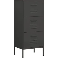 vidaXL Lagerschrank Anthrazit 42,5x35x101,5 cm Stahl