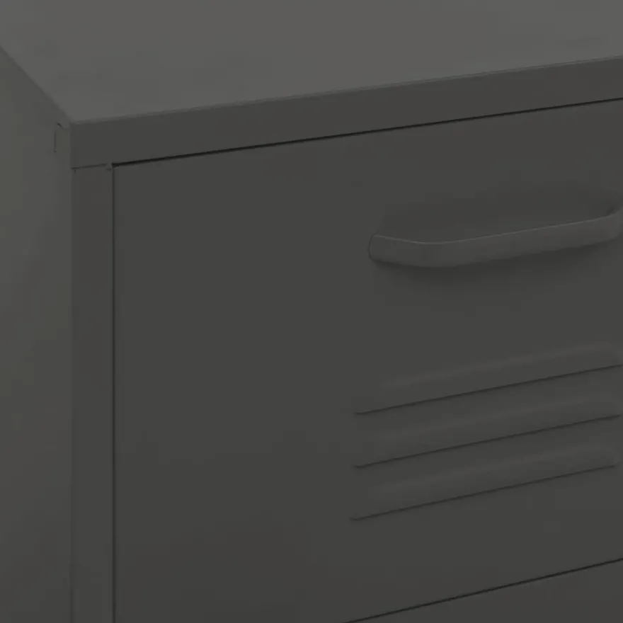 vidaXL Lagerschrank Anthrazit 42,5x35x101,5 cm Stahl