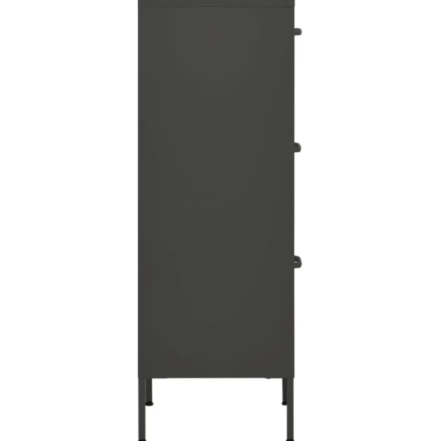 vidaXL Lagerschrank Anthrazit 42,5x35x101,5 cm Stahl