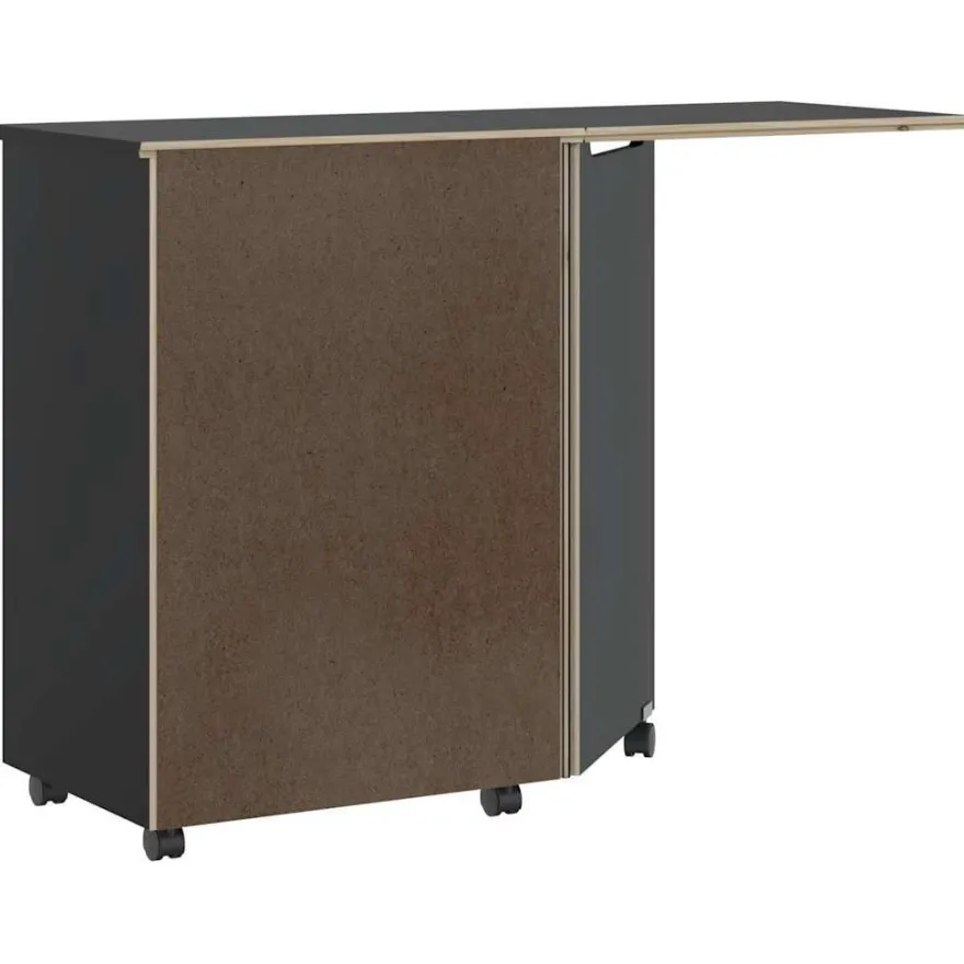 vidaXL Rollschrank mit Schreibtisch MOSS Schwarz Massivholz Kiefer