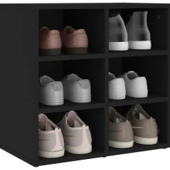 vidaXL Schuhregal Schwarz 52,5x30x50 cm