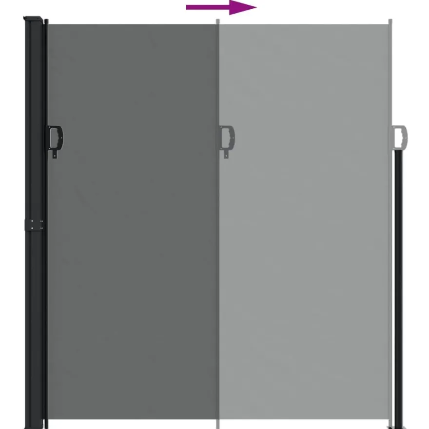 vidaXL Seitenmarkise Ausziehbar Anthrazit 220x500 cm