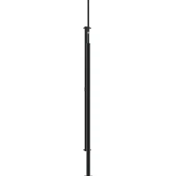vidaXL Seitenmarkise Ausziehbar Anthrazit 220x500 cm