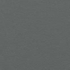 vidaXL Seitenmarkise Ausziehbar Anthrazit 220x500 cm
