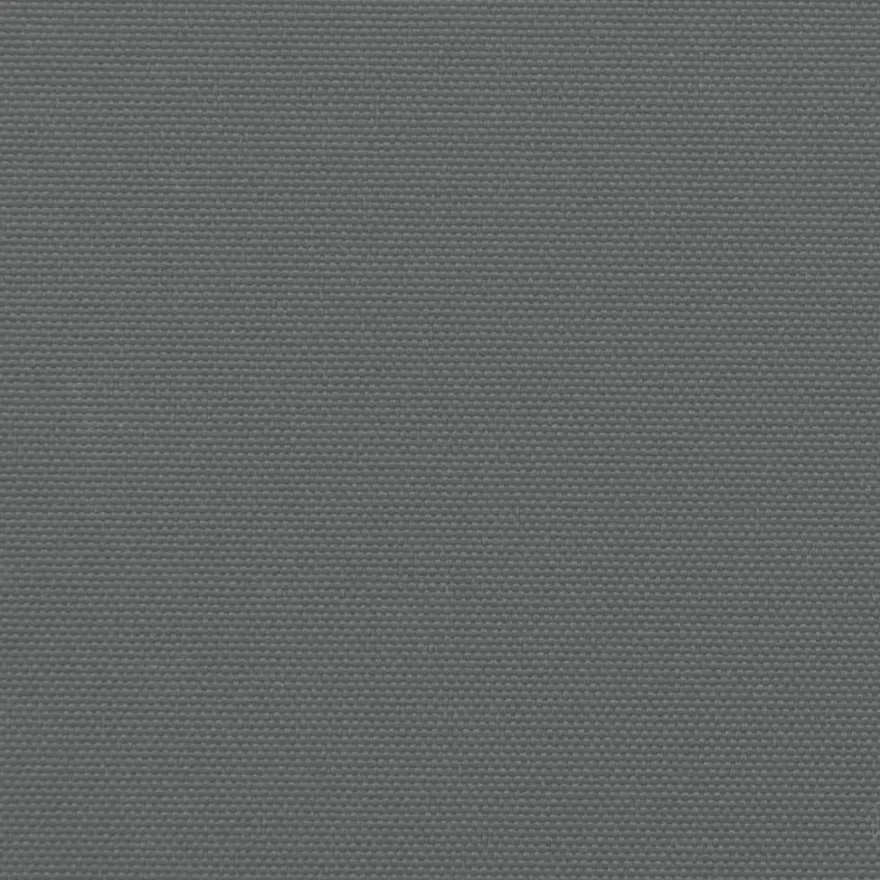 vidaXL Seitenmarkise Ausziehbar Anthrazit 220x500 cm