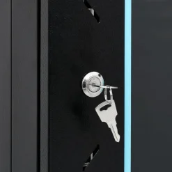 vidaXL 9U Wand-Netzwerkschrank 19