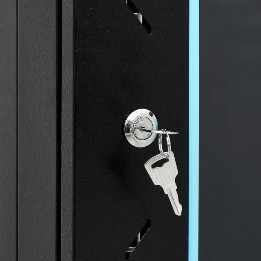 vidaXL 9U Wand-Netzwerkschrank 19