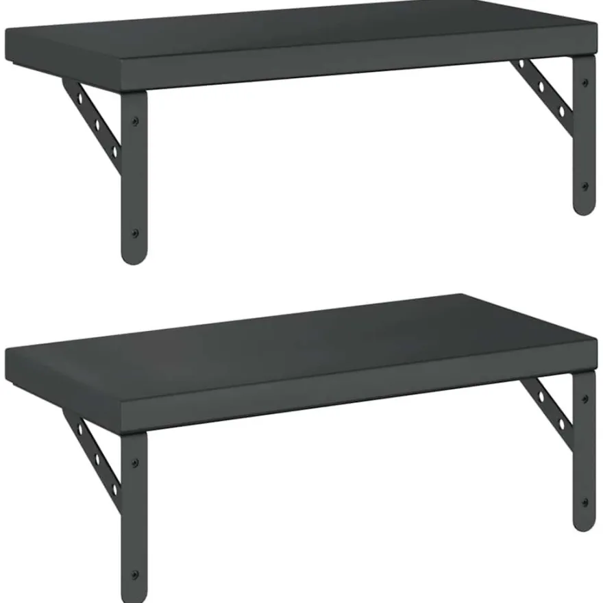 vidaXL Wandregale 2 Stk. 50x23,5 cm Schwarz Edelstahl