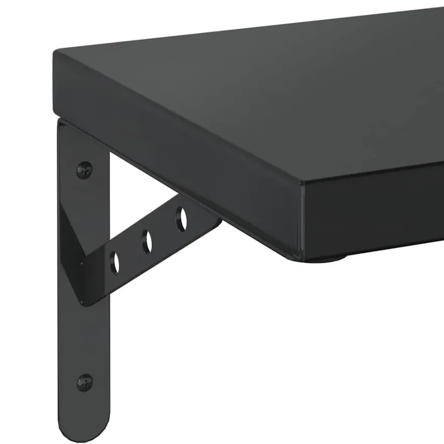 vidaXL Wandregale 2 Stk. 50x23,5 cm Schwarz Edelstahl