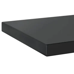 vidaXL Wandregale 2 Stk. 50x30 cm Schwarz Edelstahl