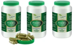 VITA IDEAL Vegan® Fenchel Kapseln - Foeniculum vulgare - Fenchelsamen - grün