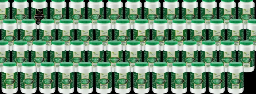 VlTA IDEAL Vegan® Kletten Wurzel Kapseln - Burdock - Bardanae Radix - Klettenwurzel