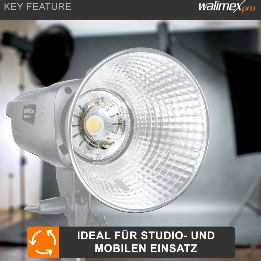 Walimex Ersatzblitzröhre VC-200/300 Typ 2 300W 5400-5800K Ersatz Blitz Studio