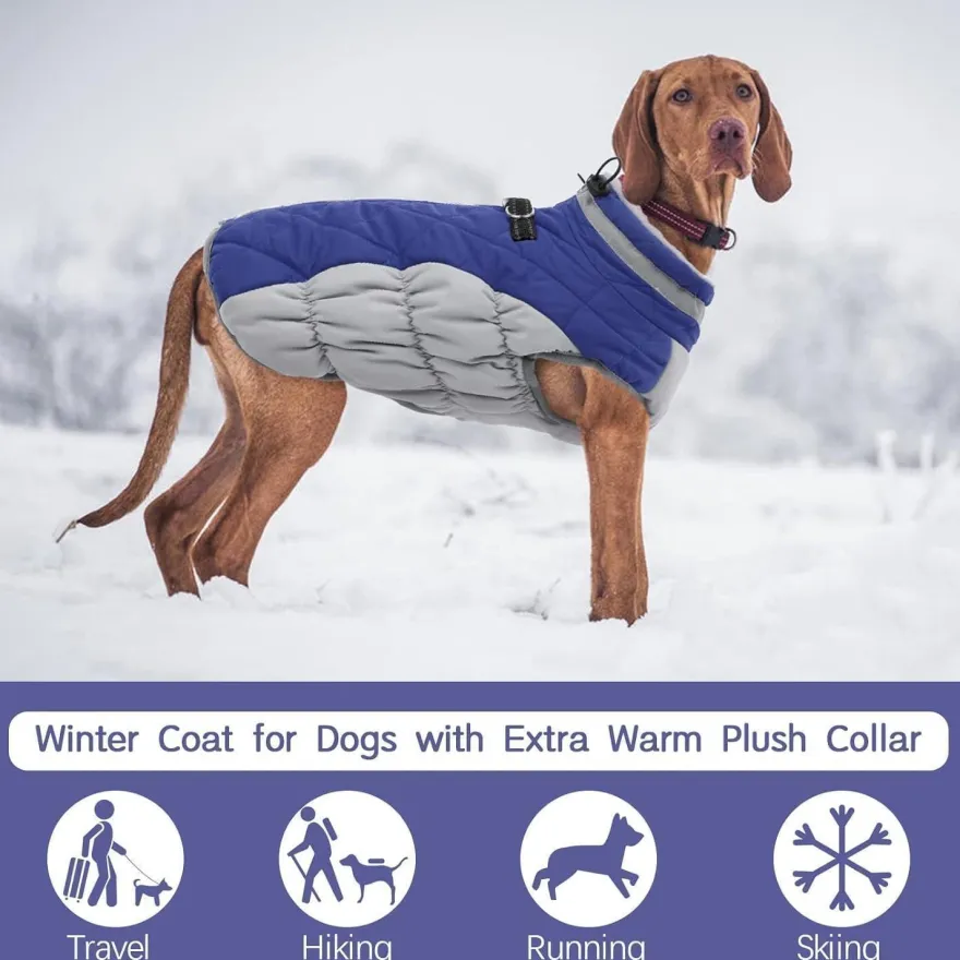 Wasserdichter Hundemantel Winterjacke für Hunde Kleine Mittlere Große Blau