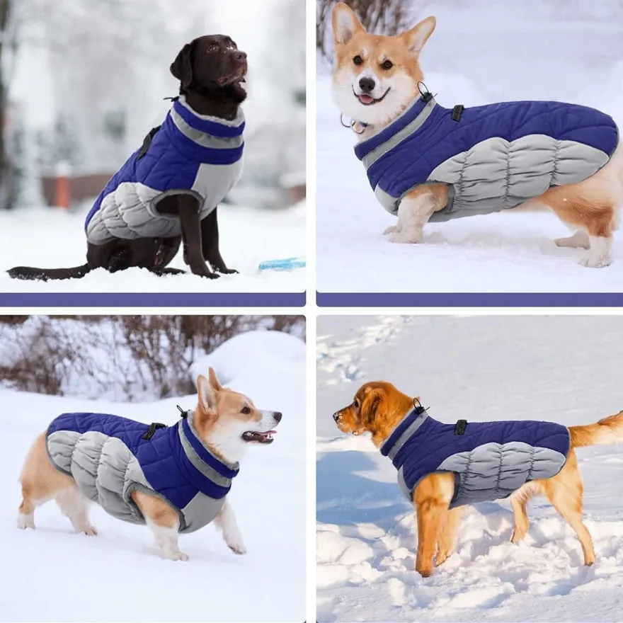 Wasserdichter Hundemantel Winterjacke für Hunde Kleine Mittlere Große Blau