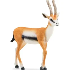 Wild Life Thomson Gazelle