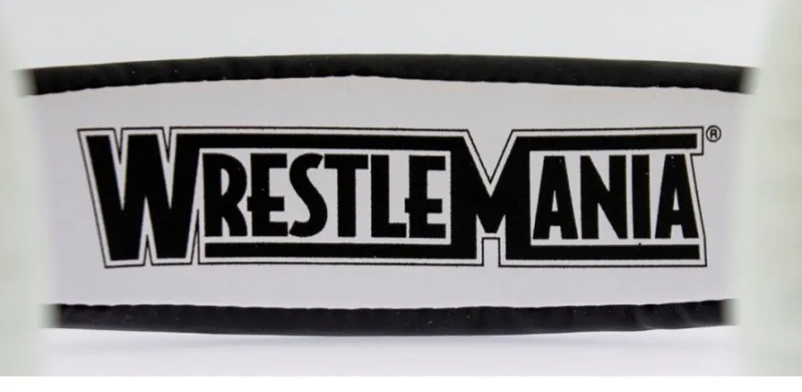 WWE Championship Belt Junior Kinder-Kopfhörer
