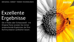 XEROX Toner cyan 106R03502 (ca. 2.500 Seiten)
