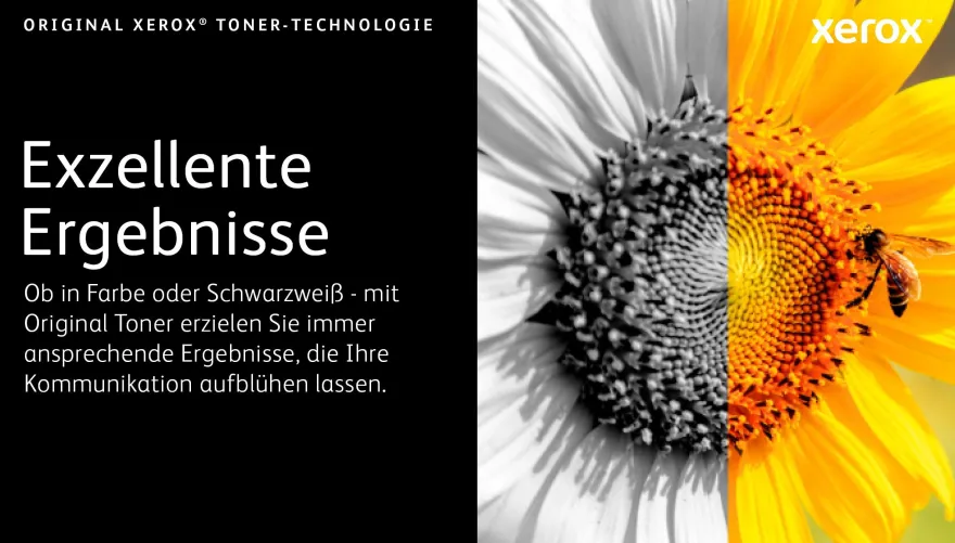 XEROX Toner cyan 106R03502 (ca. 2.500 Seiten)