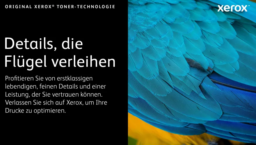 XEROX Toner cyan 106R03502 (ca. 2.500 Seiten)
