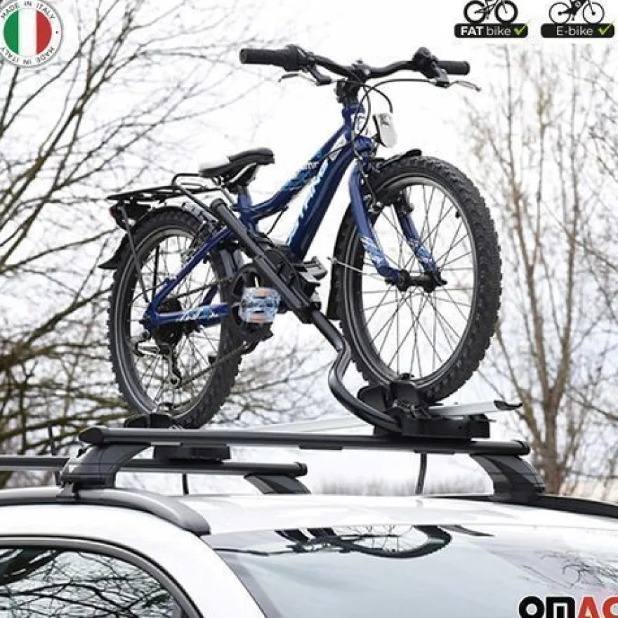 2x Farad Fahrradträger bis 25 kg ABE P-Style Dachfahrradträger EBike FatBike