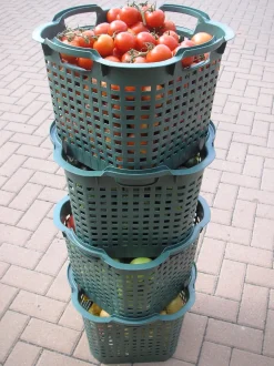 5x Obstkorb 25L grün Gartenkorb Gemüsekorb stapelbar Erntekorb Kartoffelkorb