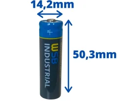 10x WSB Industrial IFR 14500 AA Solar Akku LiFePO4 3,2V 600mAh