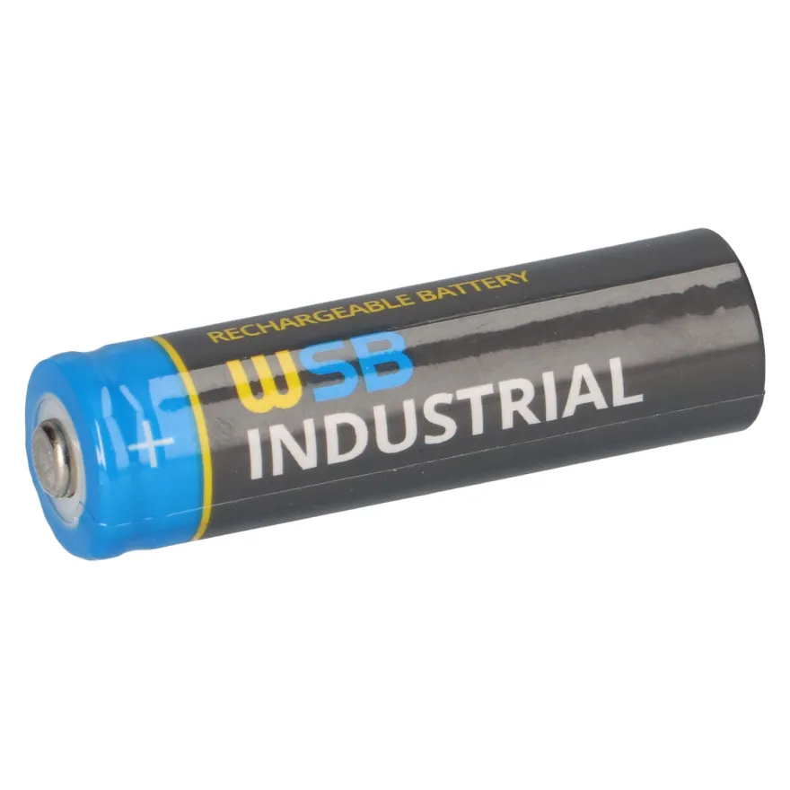 10x WSB Industrial IFR 14500 AA Solar Akku LiFePO4 3,2V 600mAh