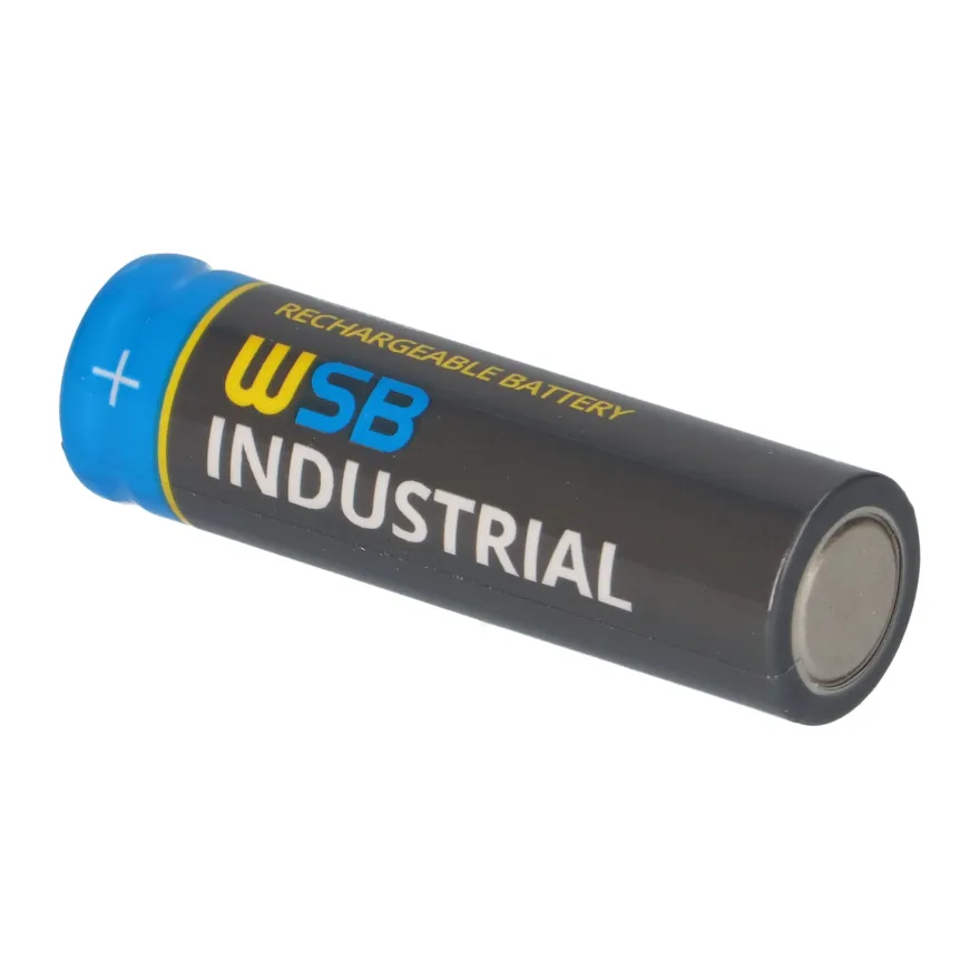 10x WSB Industrial IFR 14500 AA Solar Akku LiFePO4 3,2V 600mAh