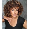 Yeeshedo Afro Perücke Dunkelbraun mit Braunen Highlights, Kinky Curly Synthetik